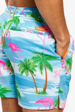 OppoSuits Flaminguy|Heren Zwembroeken