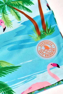 OppoSuits Flaminguy|Heren Zwembroeken