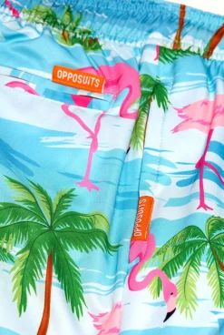 OppoSuits Flaminguy|Heren Zwembroeken
