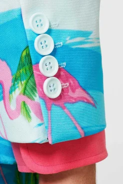 OppoSuits Flaminguy|Heren Vrijgezellenfeest Pakken|Carnavalspakken