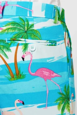 OppoSuits Flaminguy|Heren Zomer Pakken|Zomer Pakken